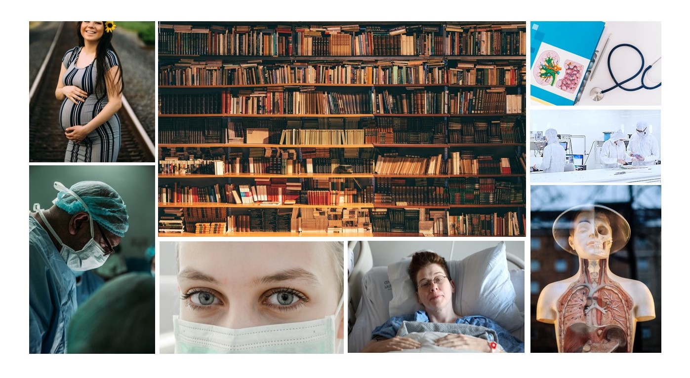 What is Medical Writing? The Consulting Screen